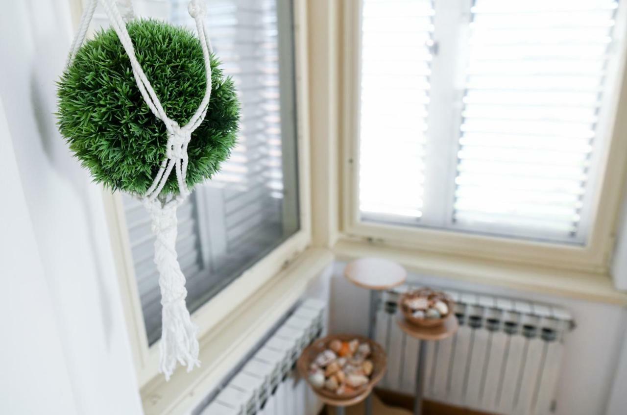 Apartments Bazilika Novalja Dış mekan fotoğraf