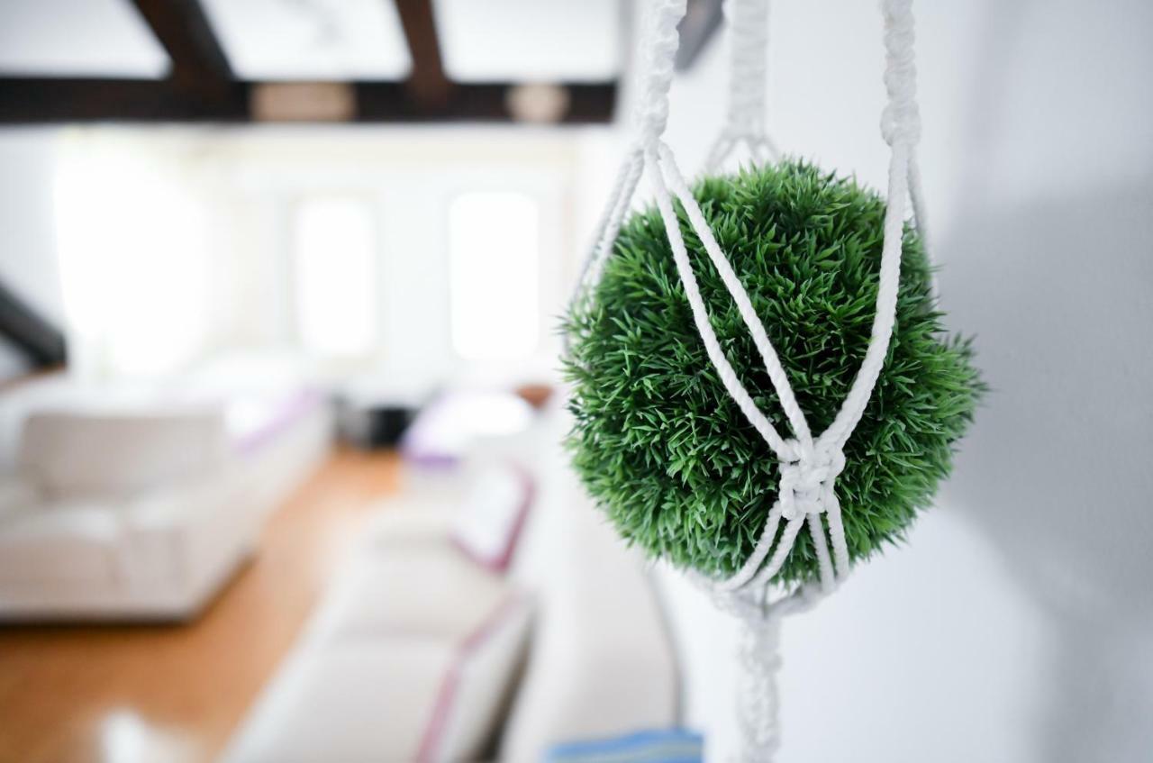 Apartments Bazilika Novalja Dış mekan fotoğraf